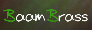 logo baambrass.bayern
de BaamBrassBayernBurschen
einfach brutal guad !!! logo baambrass.bayern
de BaamBrassBayernBurschen
einfach brutal guad !!!